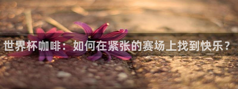 世界杯转播表:世界杯咖啡:如何在紧张的赛场上找到快乐?