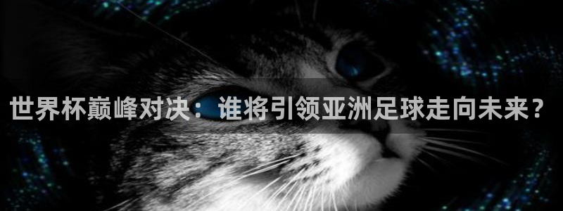 美国世界杯:世界杯巅峰对决:谁将引领亚洲足球走向未来?