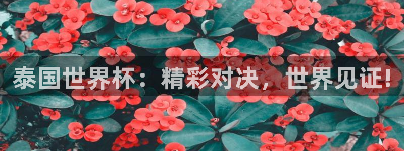 世界杯女足直播:泰国世界杯:精彩对决,世界见证!