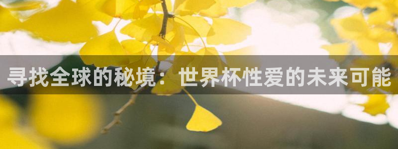 世界杯 赛程:寻找全球的秘境:世界杯性爱的未来可能