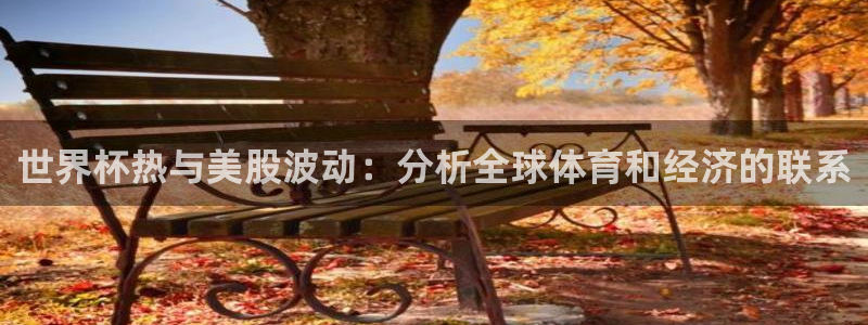 世界杯足球2026:世界杯热与美股波动:分析全球体育和经济的联系