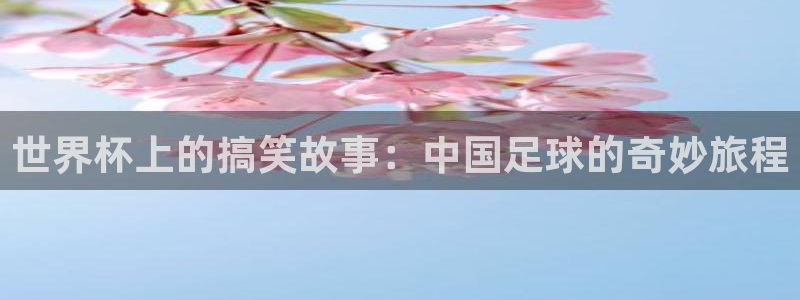 世界杯决赛圈球队:世界杯上的搞笑故事:中国足球的奇妙旅程