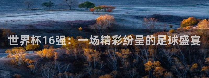 世界杯预选赛亚洲:世界杯16强:一场精彩纷呈的足球盛宴
